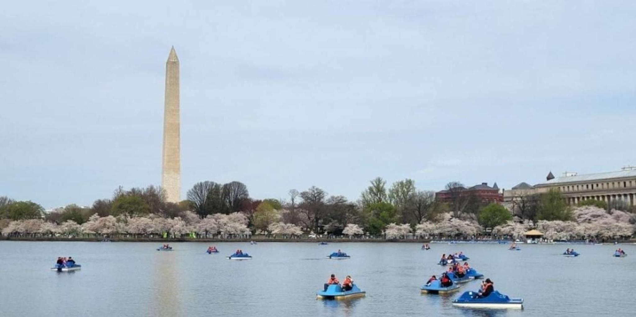 Washington DC Tidal Basin Pedal Boat Rental