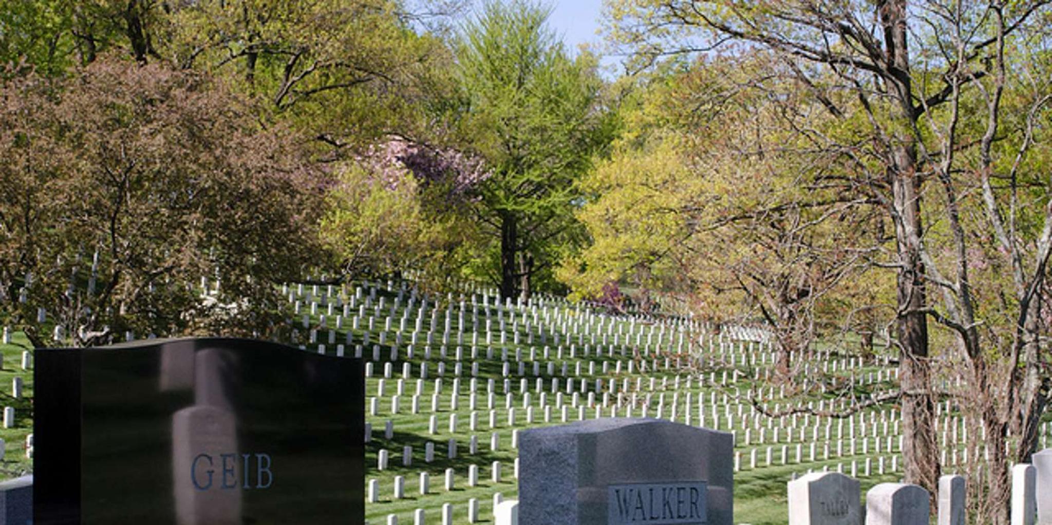 Washington DC Arlington National Cemetery Tram Tour - Image 4