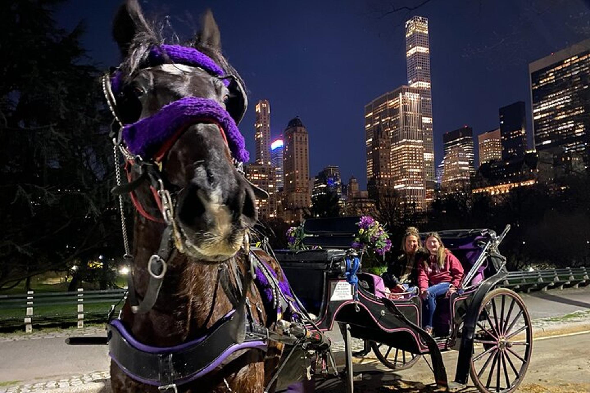New York City Central Park Horse Carriage Tour - Image 3