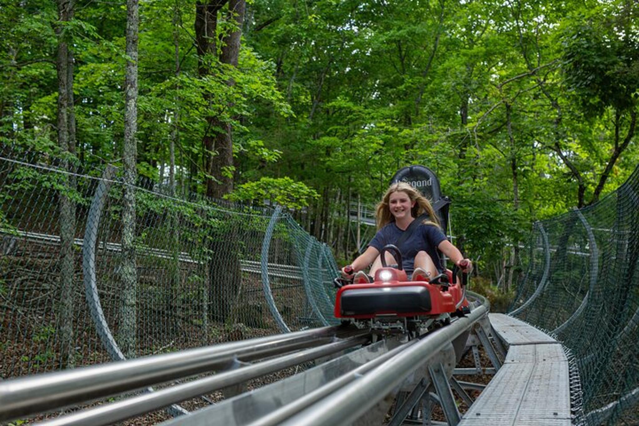 Branson Mountain Coaster - Image 6