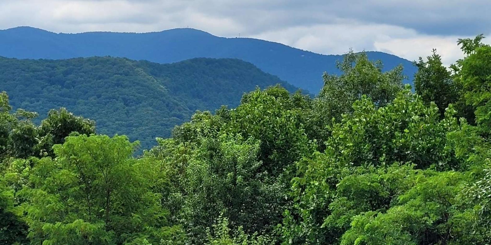 Atlanta Wine Tasting Tour in North Georgia Mountains - Image 4