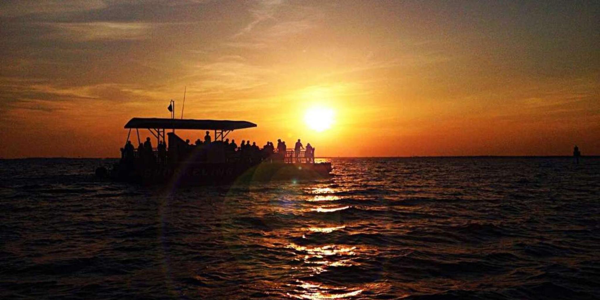 Destin Dolphin Watching Cruise - Image 2