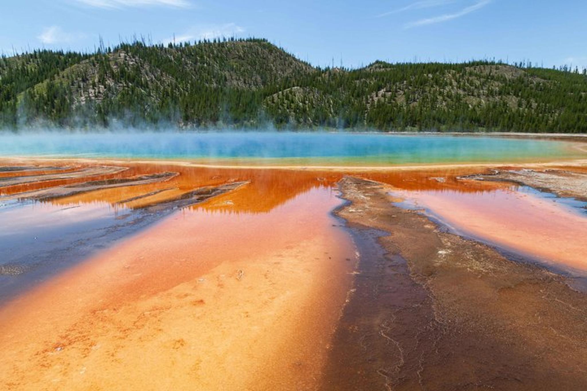 Yellowstone National Park Safari Tour