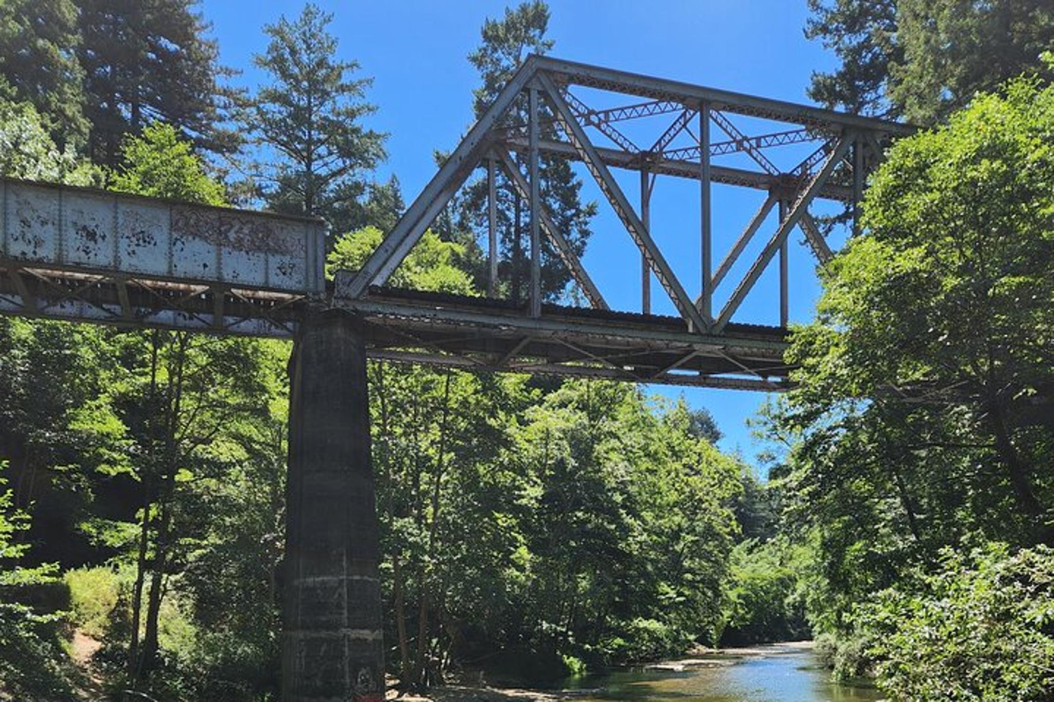 San Francisco Train Ride Adventure through Redwoods - Image 2
