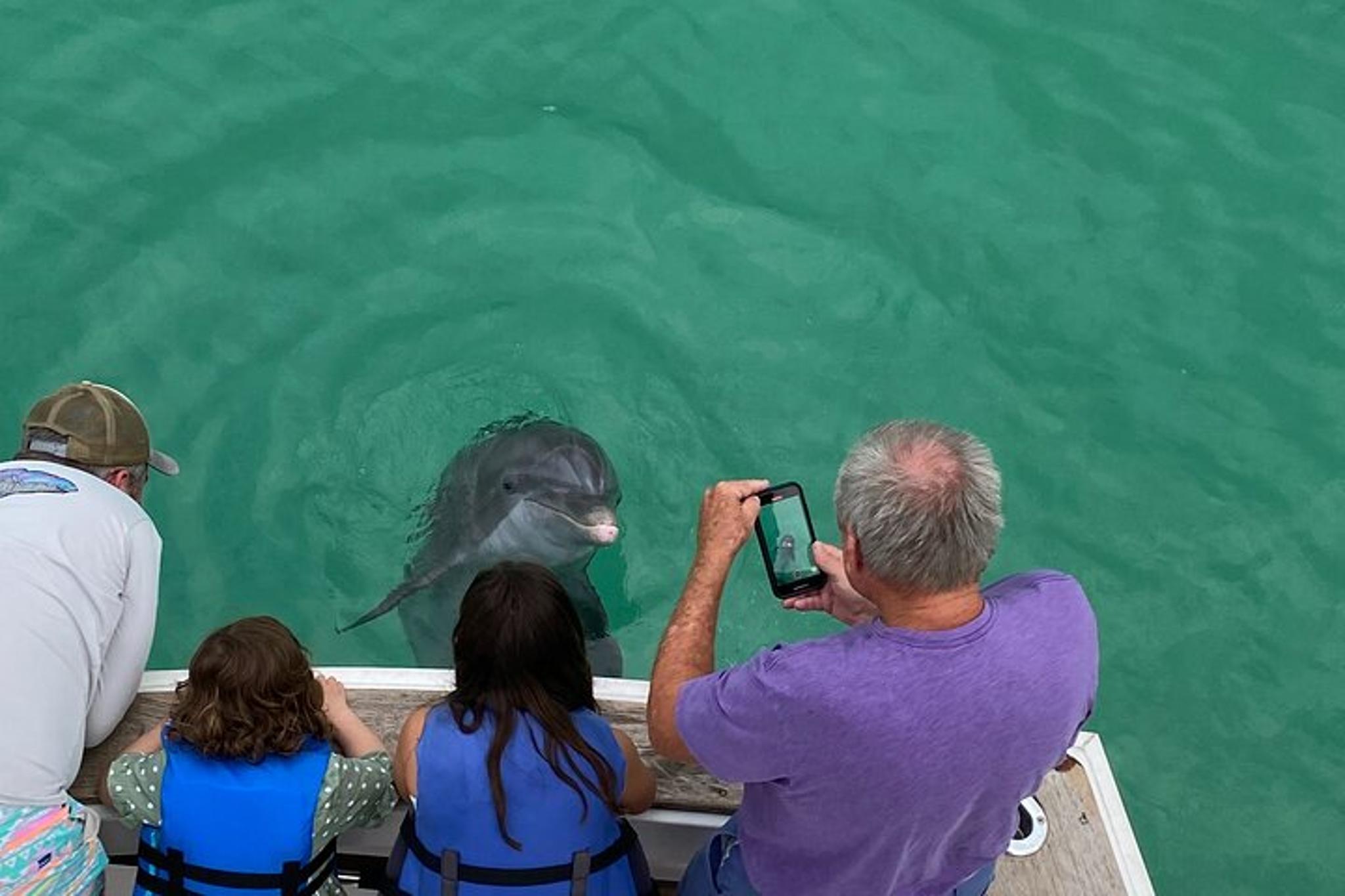 Panama City Beach Dolphin Sightseeing Tour 2 hr - Image 5