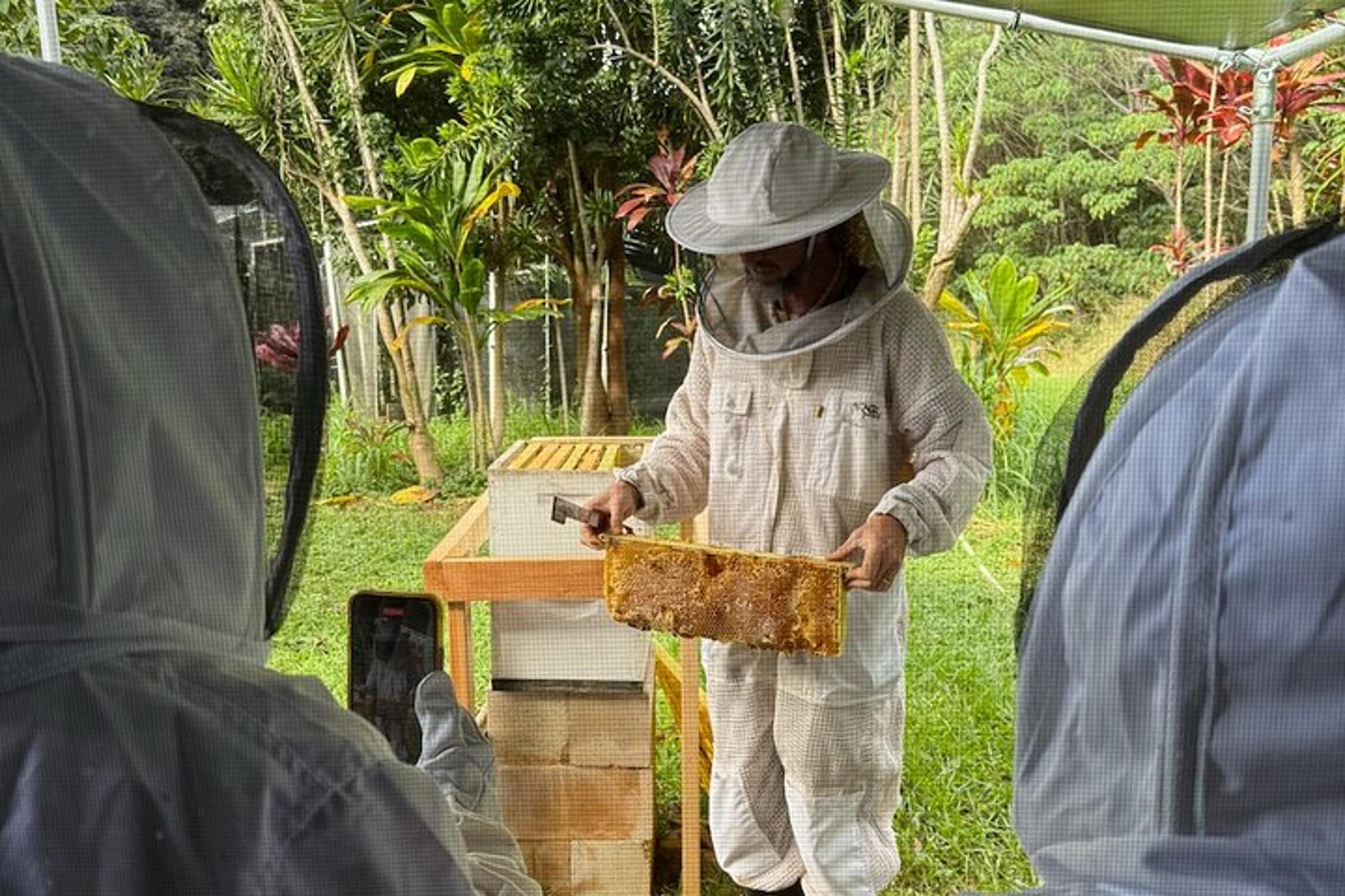 Kauai Honey and Bee Tour - Image 6