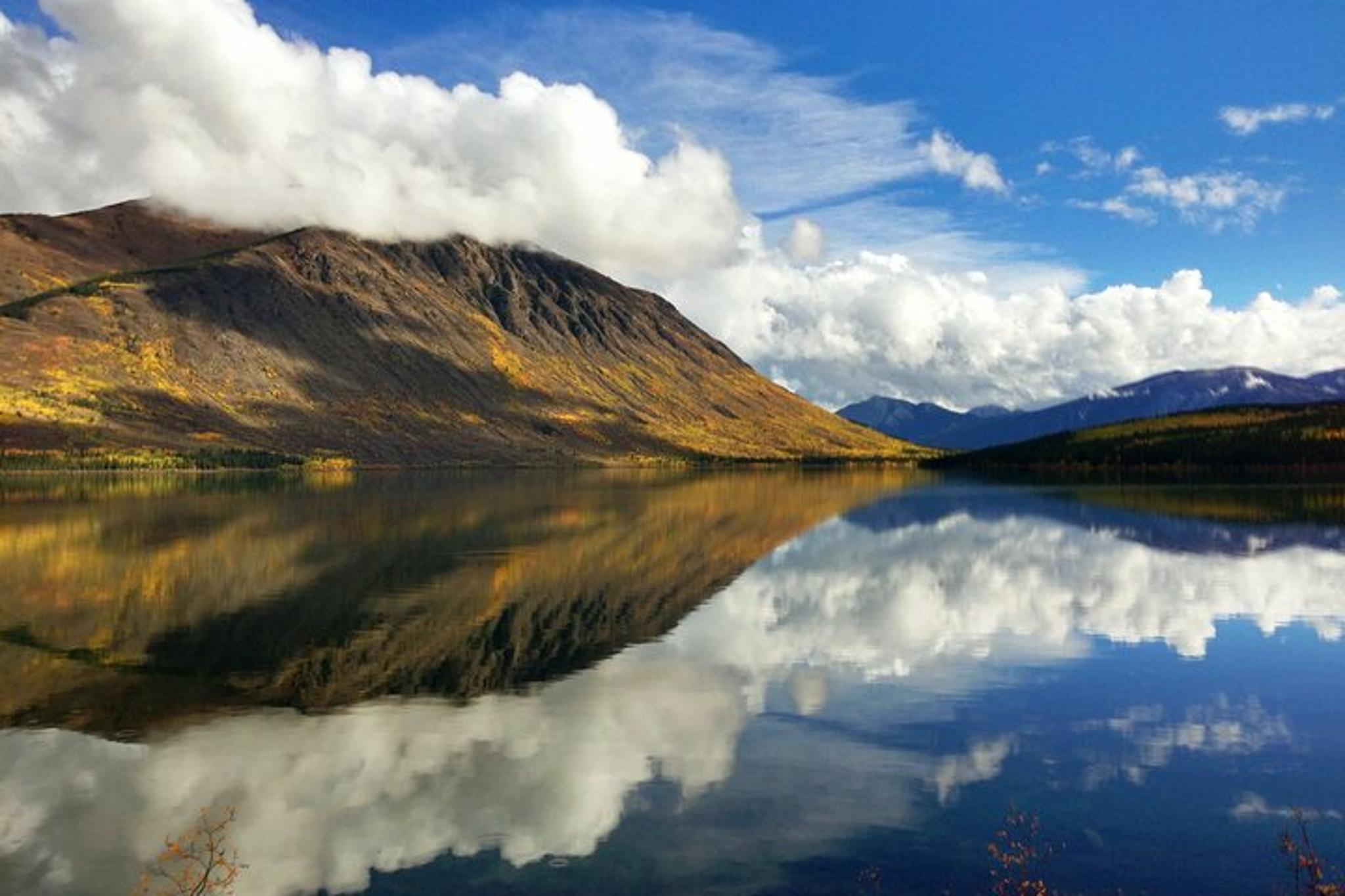 Skagway Yukon Suspension Bridge Tour 5 hr - Image 5