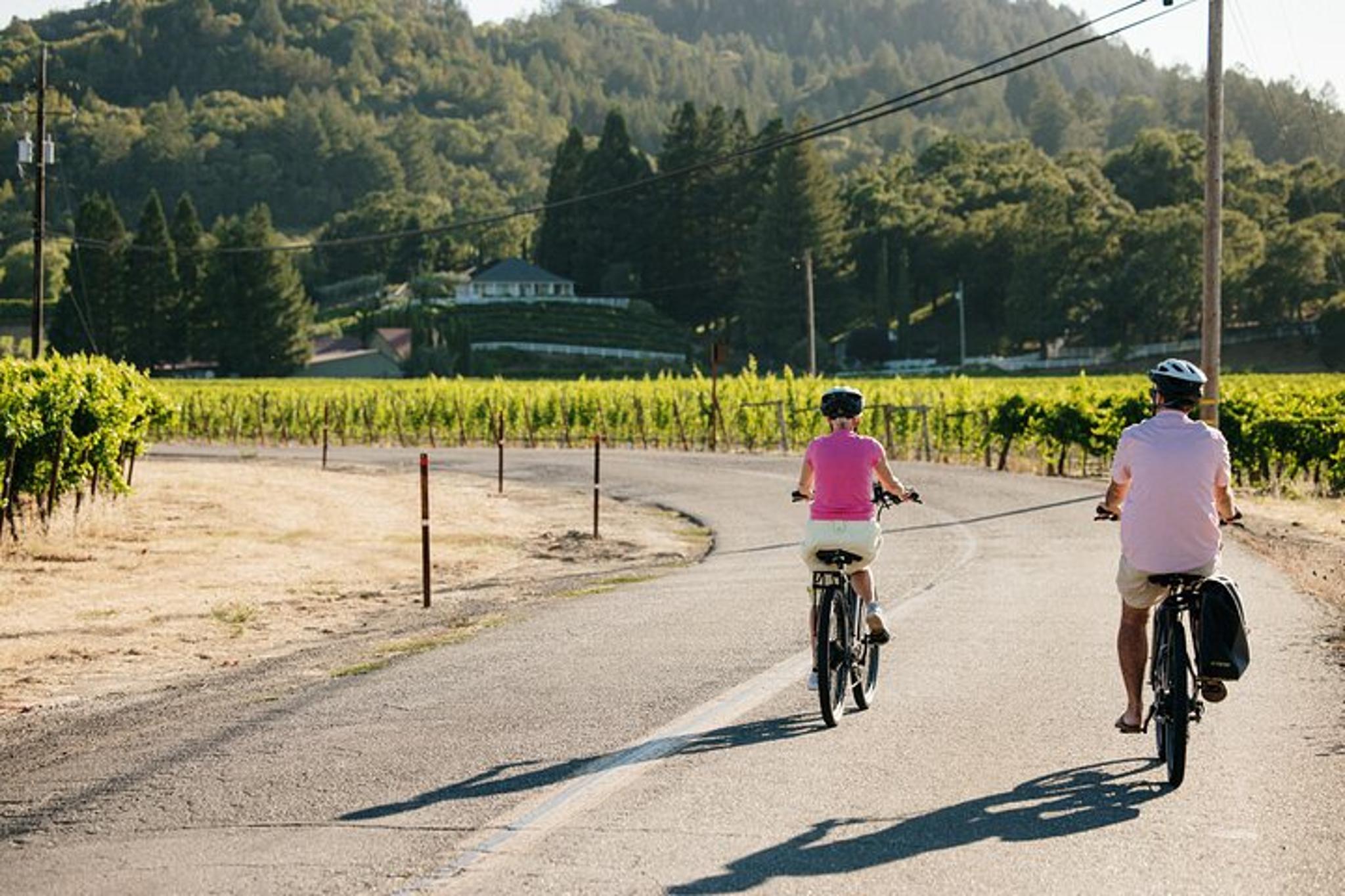 Sonoma Electric Bike Wine Tasting Tour with Lunch - Image 5