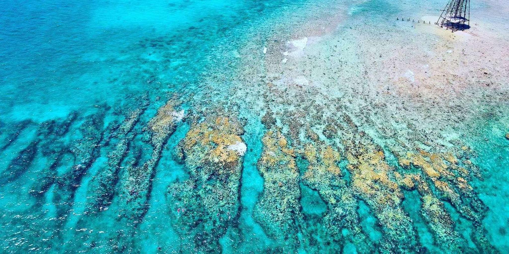 Key West Reef Snorkeling with Open Bar 3 hr - Image 4