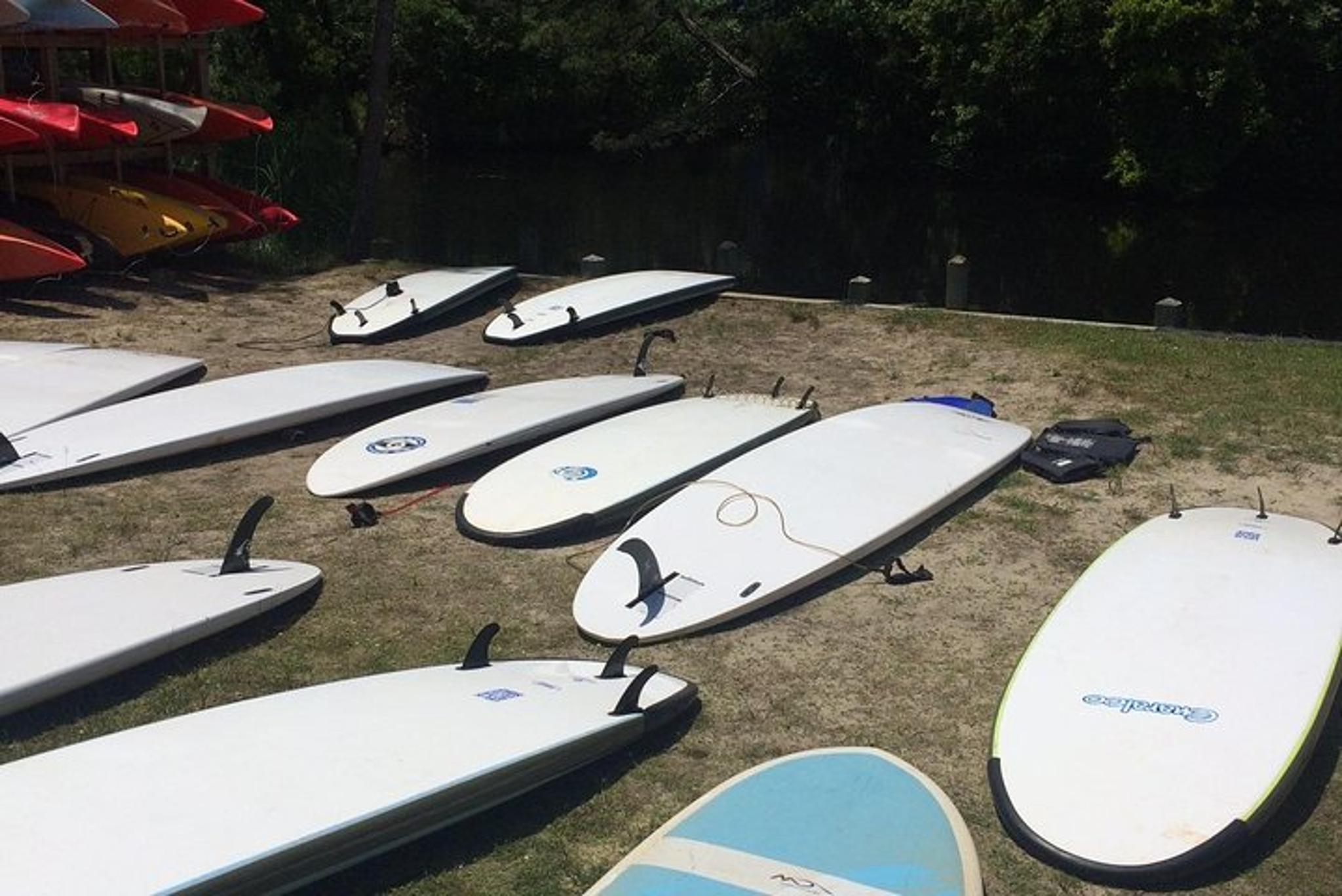 Kitty Hawk Stand Up Paddleboard Adventure - Image 6