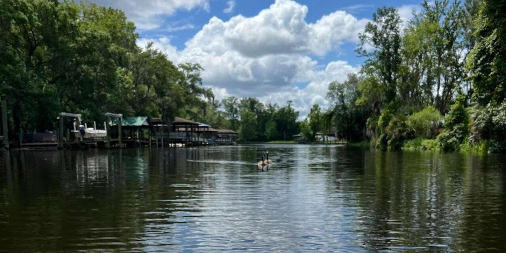 Jacksonville Kayak Rental Adventure on Ortega River - Image 3