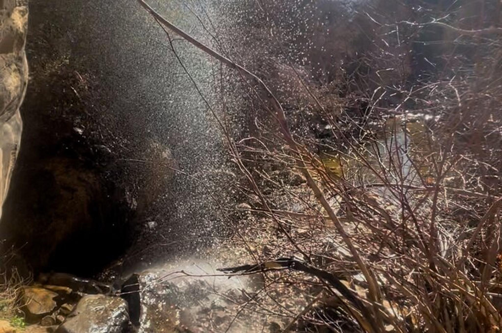 Las Vegas Hiking Tour at Spring Mountain 4 hr - Image 1