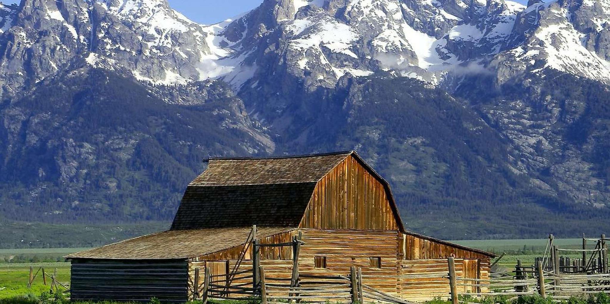 Jackson Grand Teton National Park Tour 4 hr