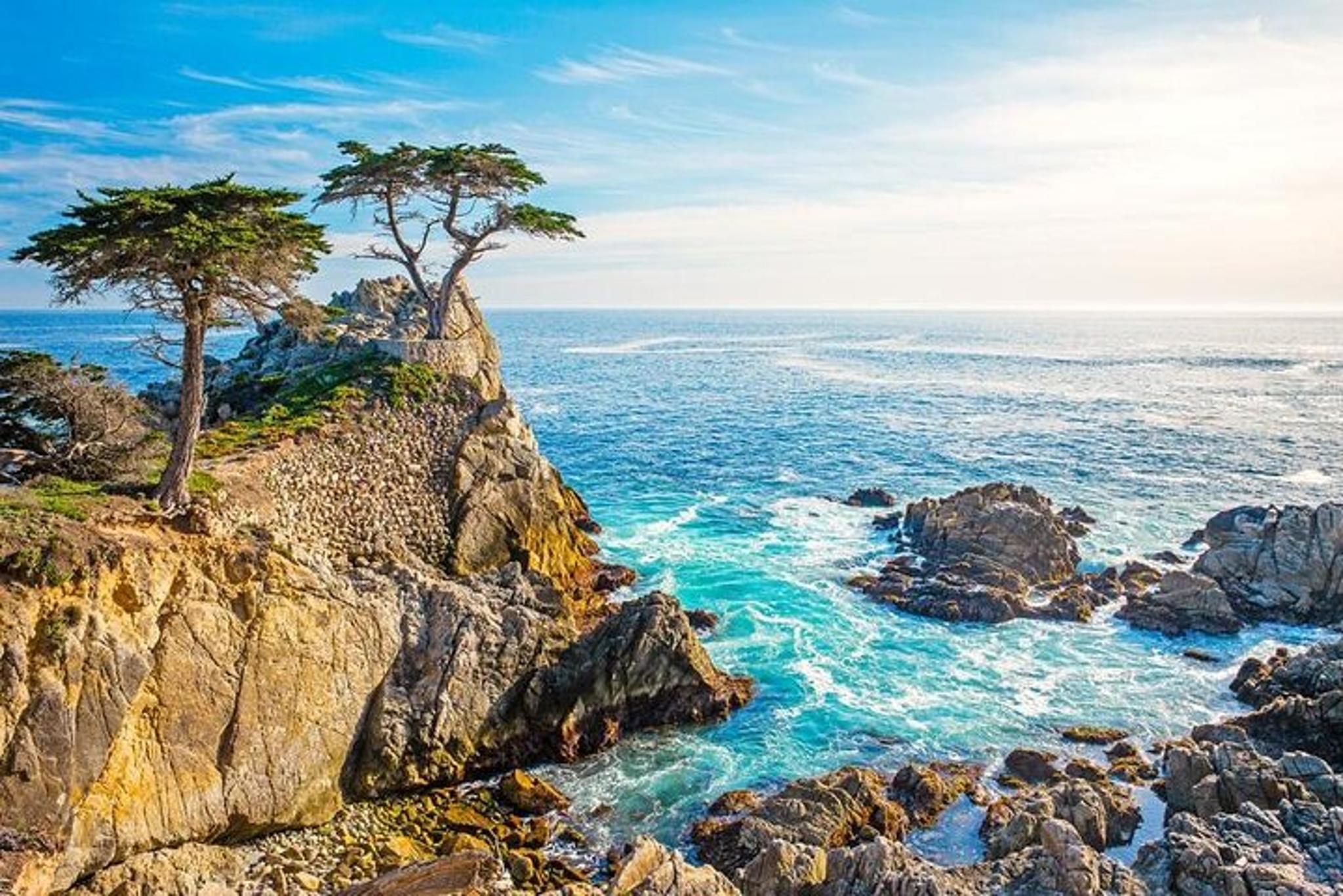 Carmel 17-Mile Drive Tour