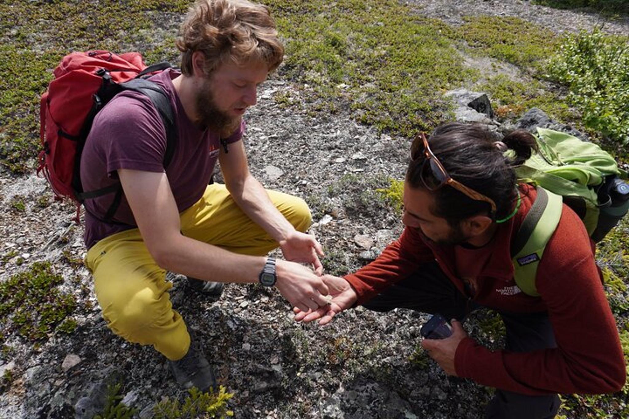 Denali Off-Trail Hiking Adventure - Image 2