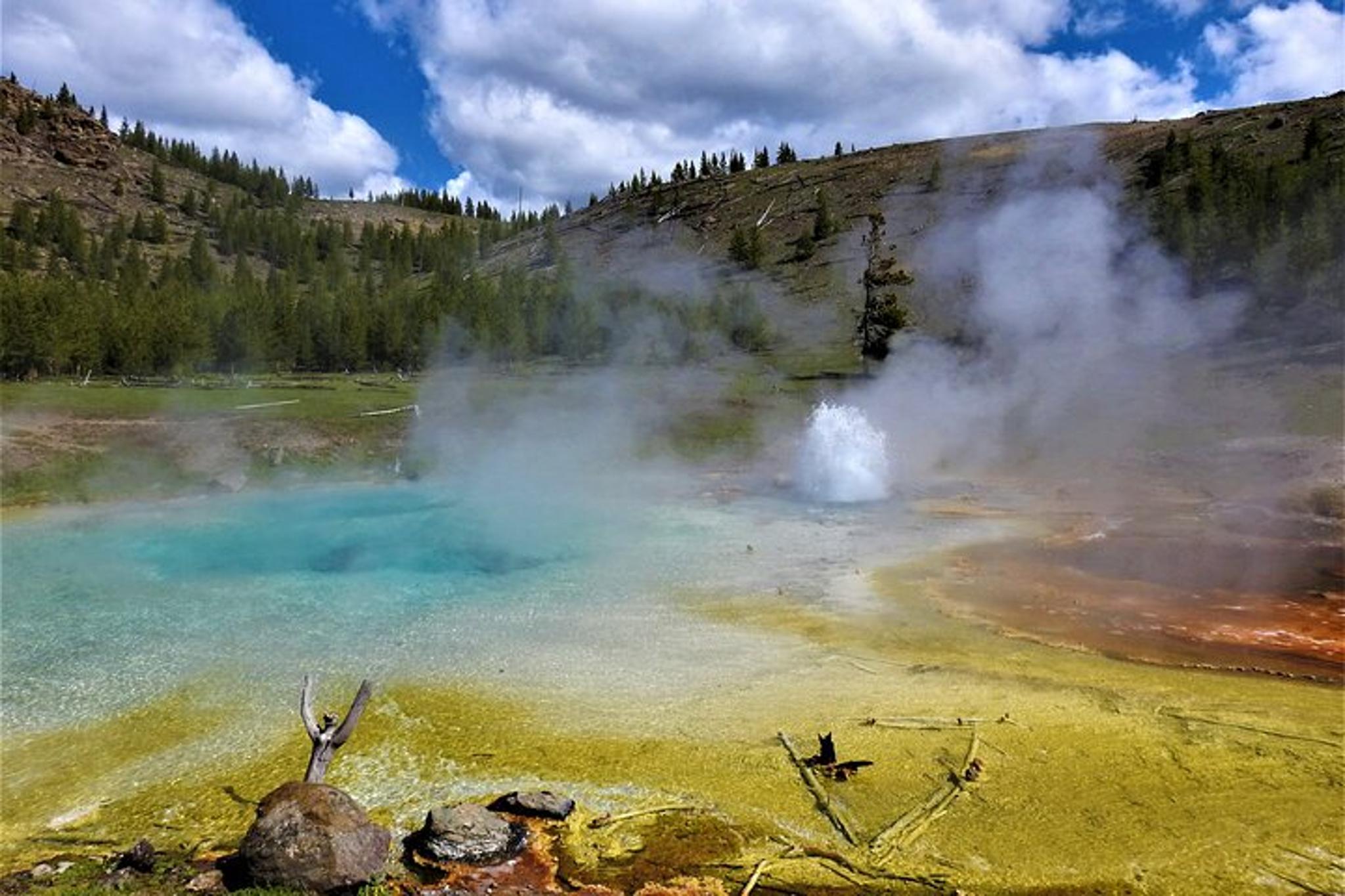 West Yellowstone Wildlife and Geyser Tour - Image 6