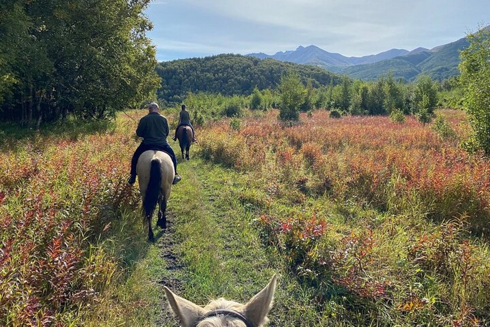 Anchorage Trail Ride and Zipline Adventure Combo - Image 6