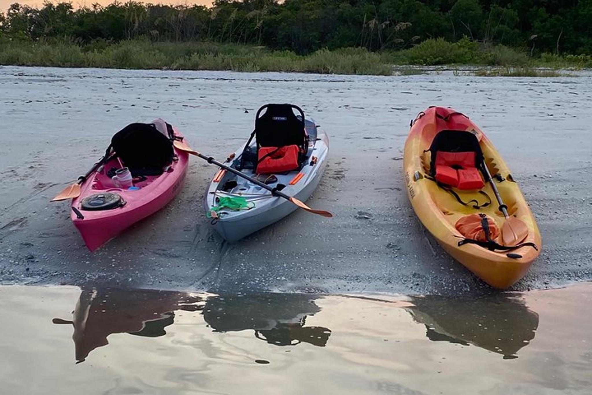 Naples Kayak Rental - Image 2