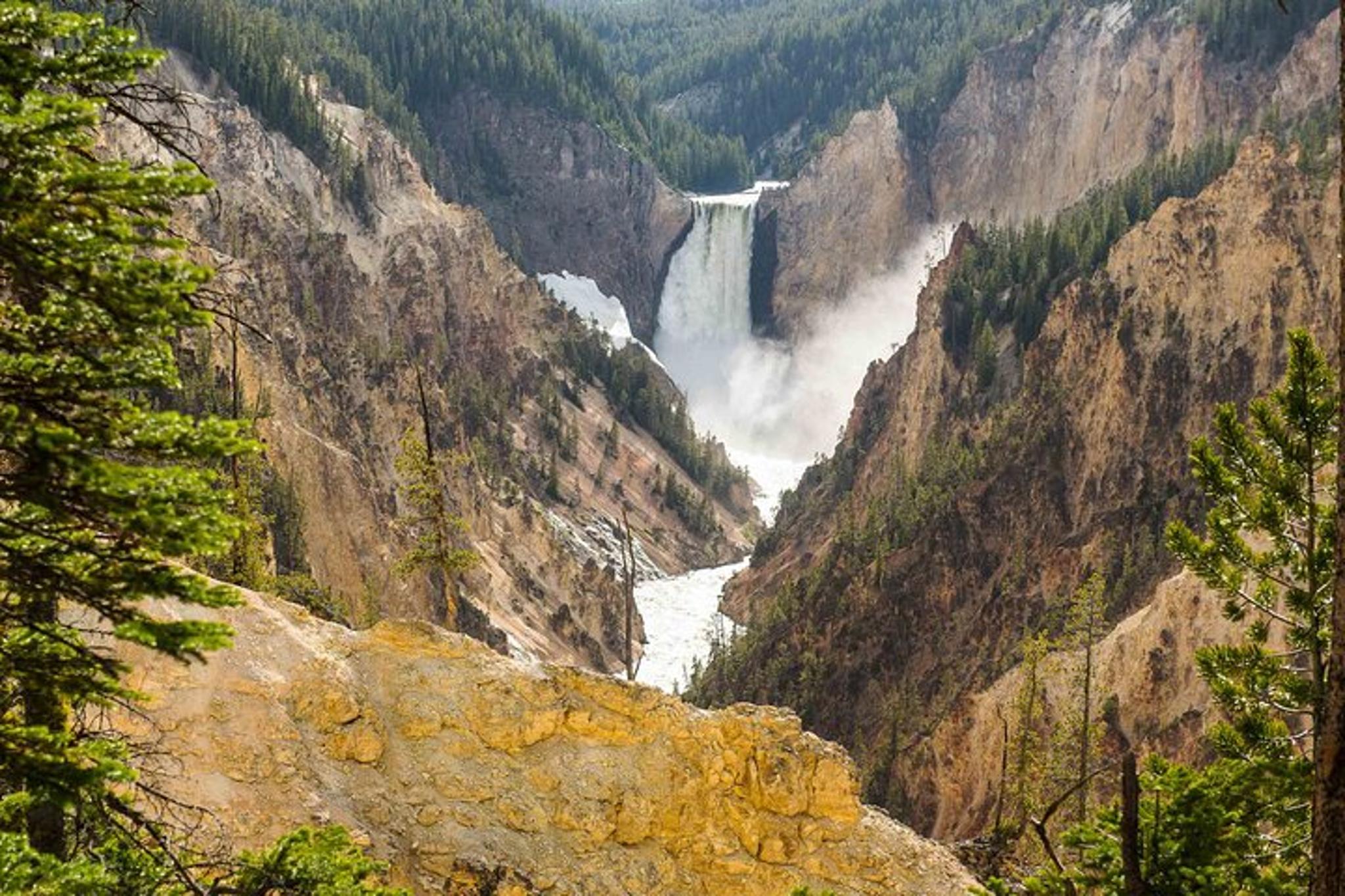 Yellowstone Private Tour with Surprise Activity - Image 1