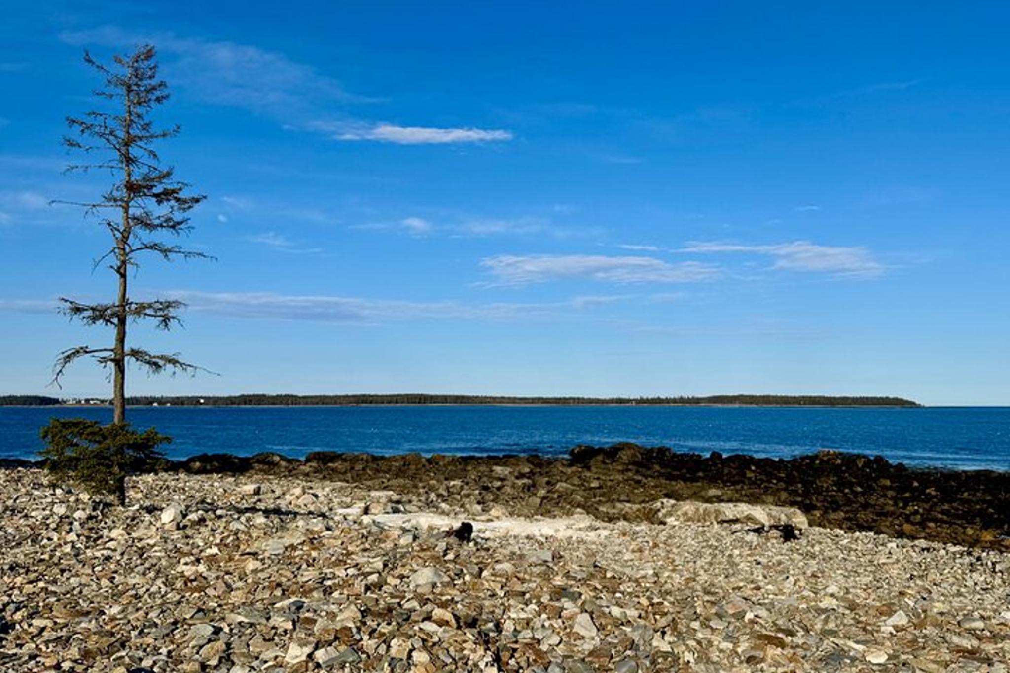 Mount Desert Island Discovery Tour Beyond Acadia 5 hr - Image 6