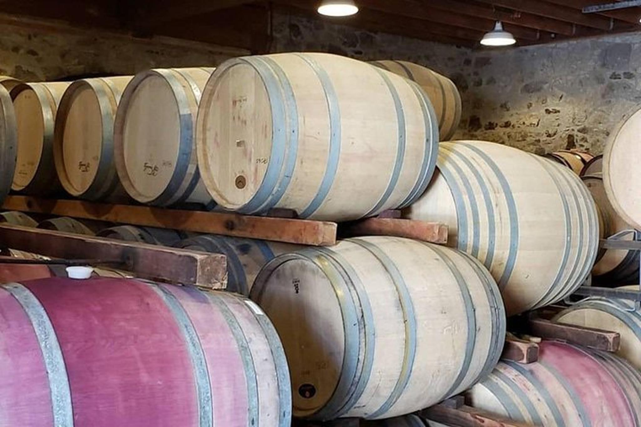 Napa Wine Tour in a Luxury Vehicle - Image 6