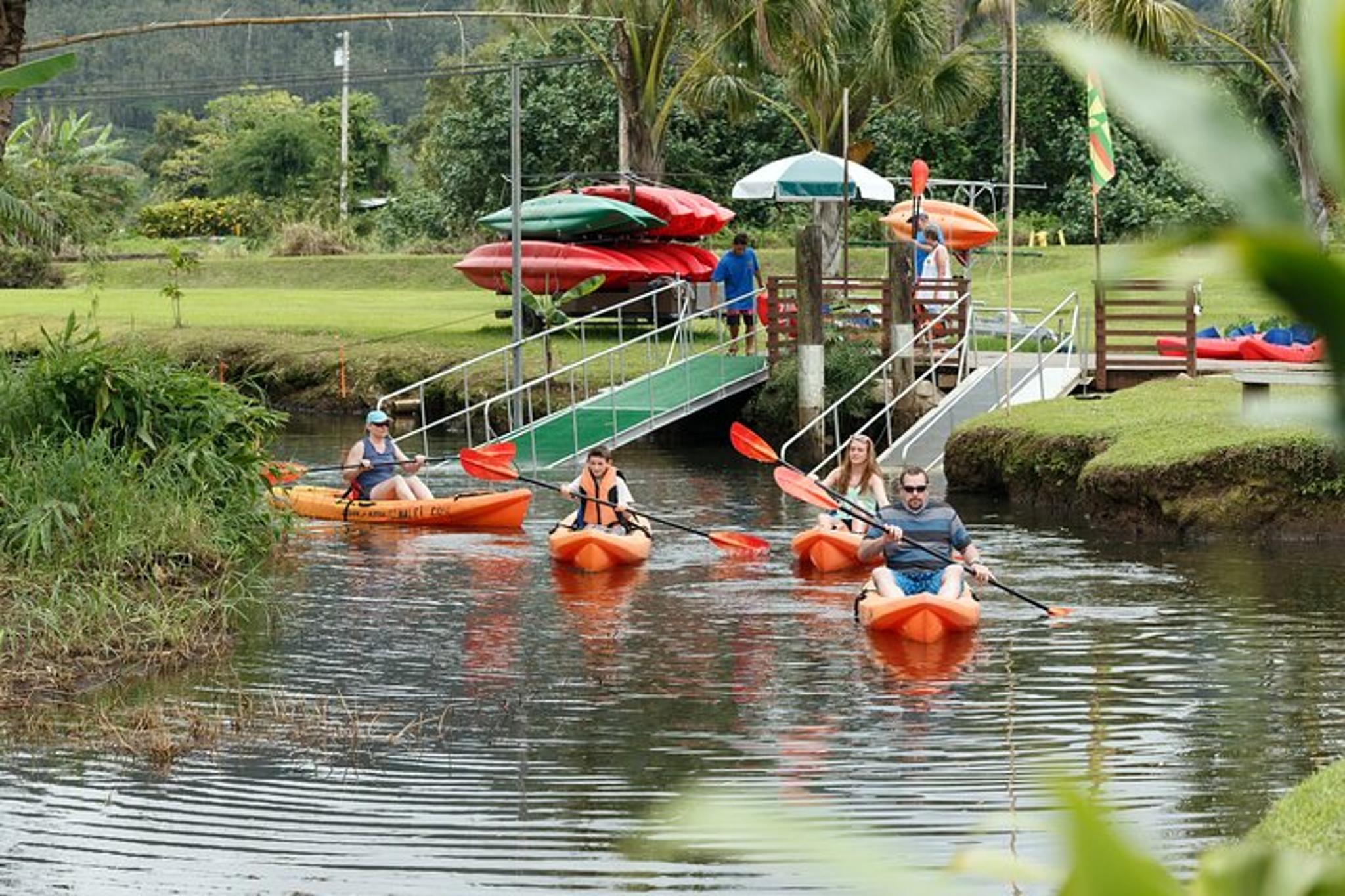 Kauai Kayak and Snorkel Adventure - Image 4