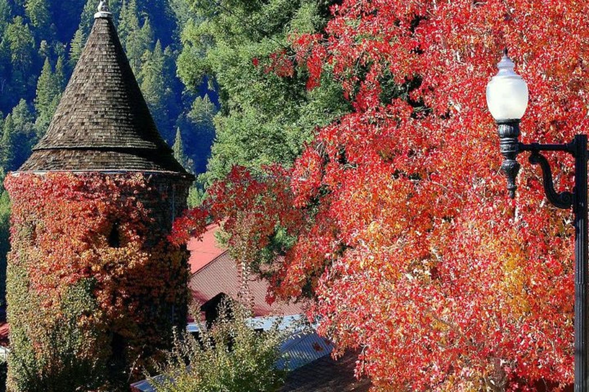 San Francisco Private Wine Tour with Custom Half Case - Image 2