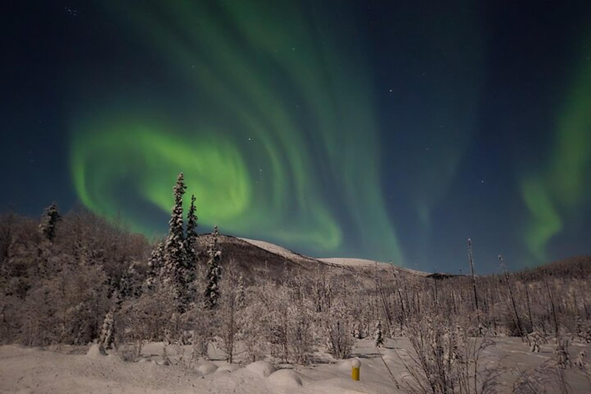 Chena Hot Springs Northern Lights Experience - Image 3