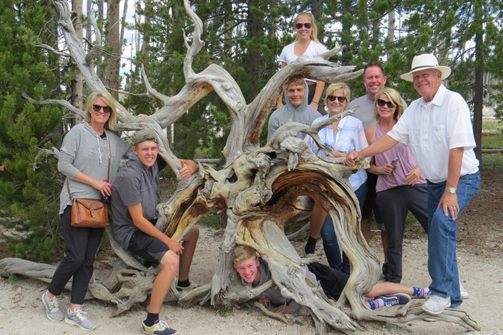 Yellowstone National Park Private Lower Loop Tour - Image 2