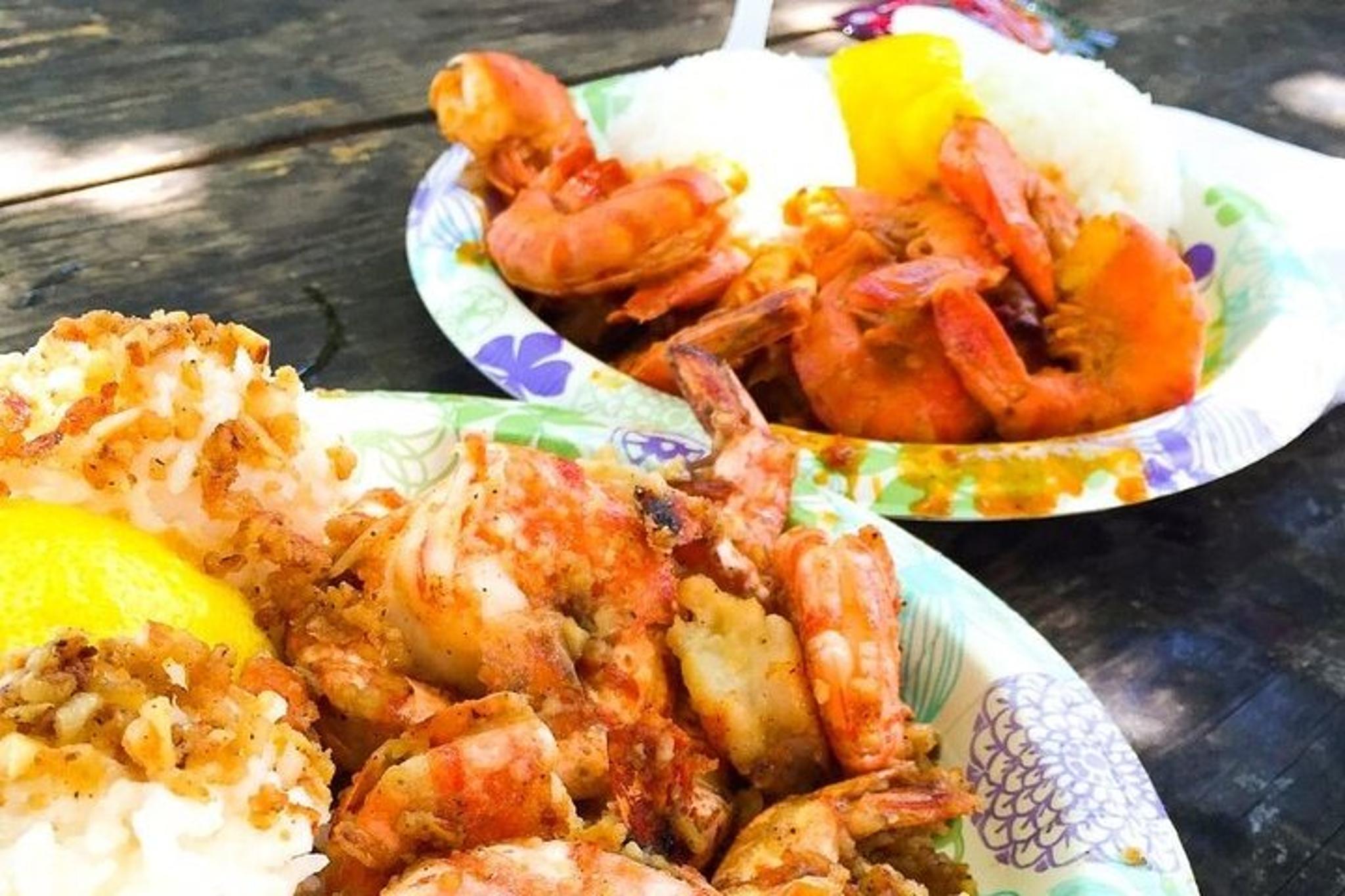 Oahu Circle Island Tour - Image 5