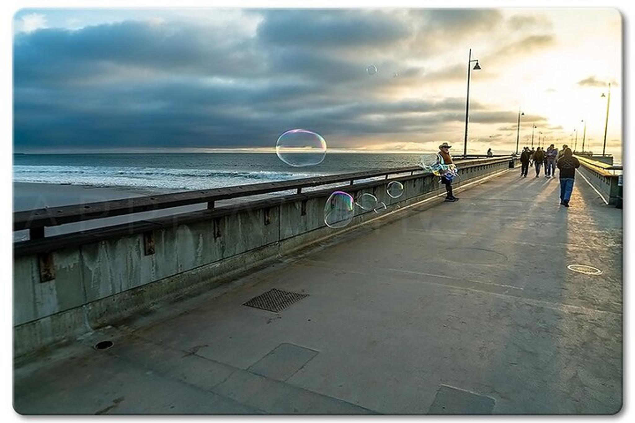 Venice Photographic Beach Walking Tour - Image 2