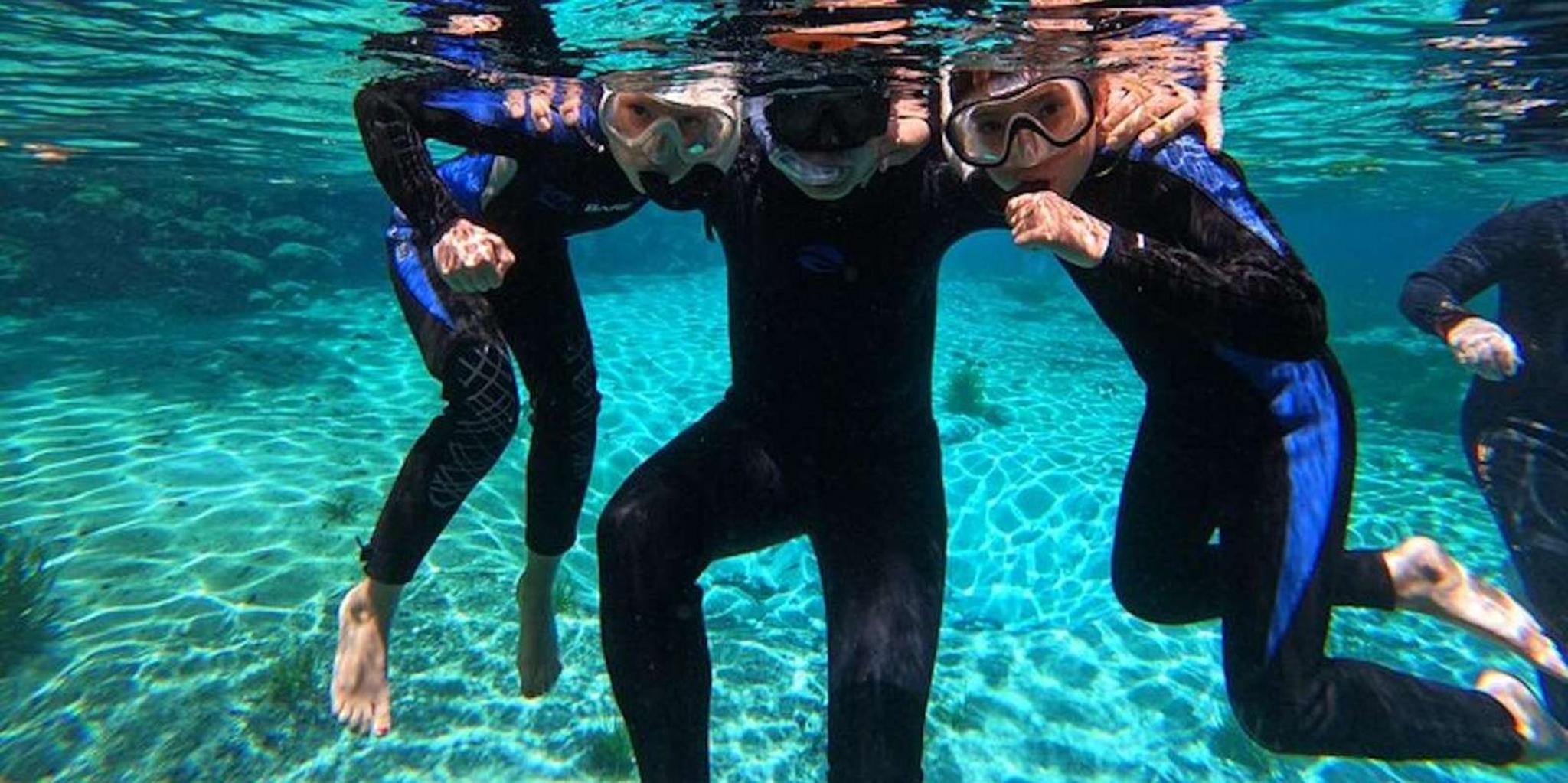 Crystal River Manatee Swim Tour - Image 2
