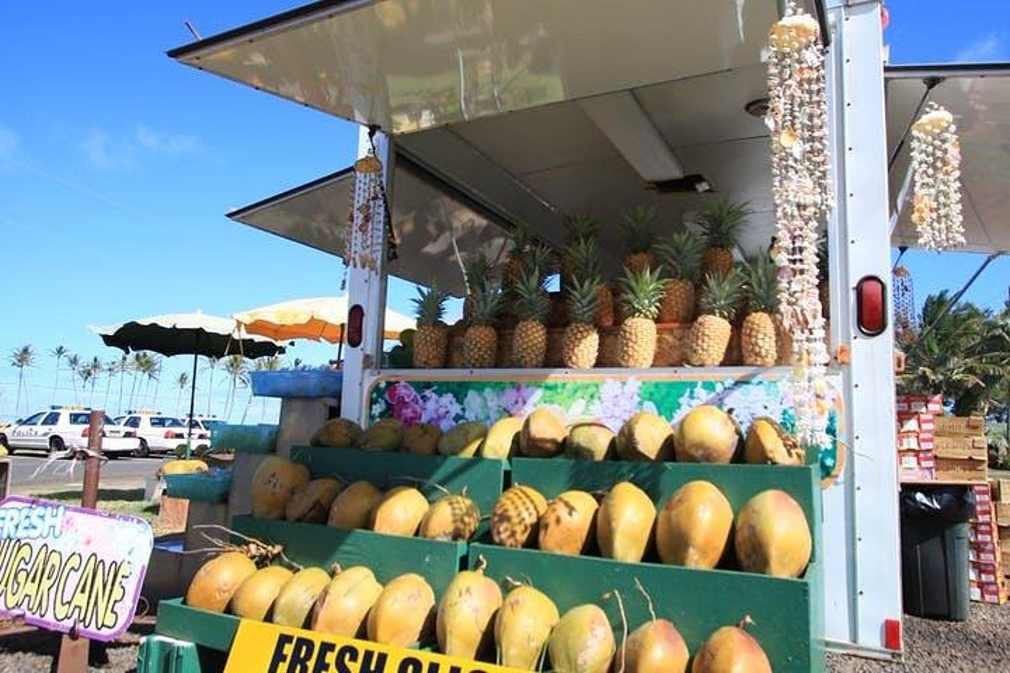 Kauai Movie Locations Tour