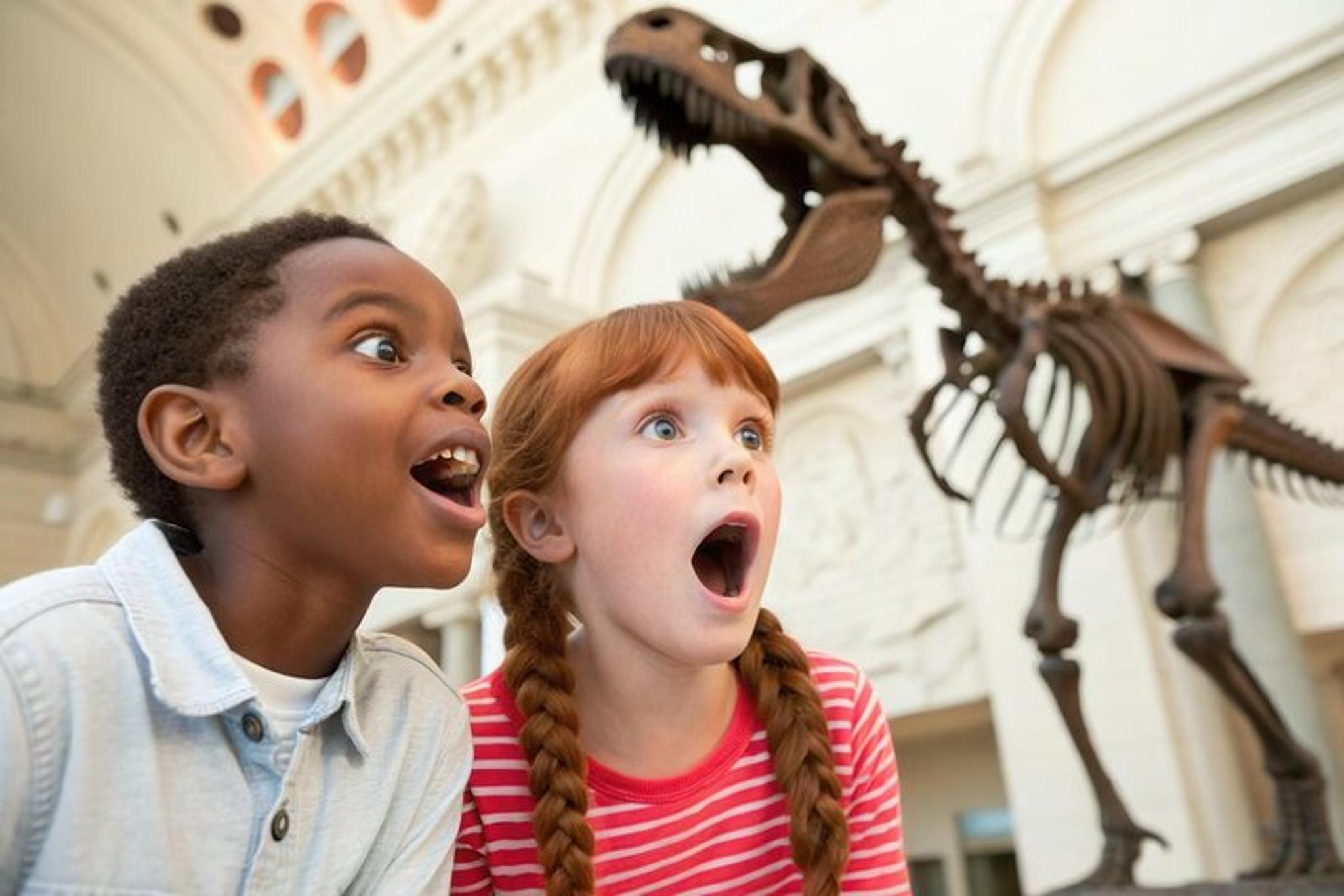 Washington DC Smithsonian Natural History Private Tour - Image 2