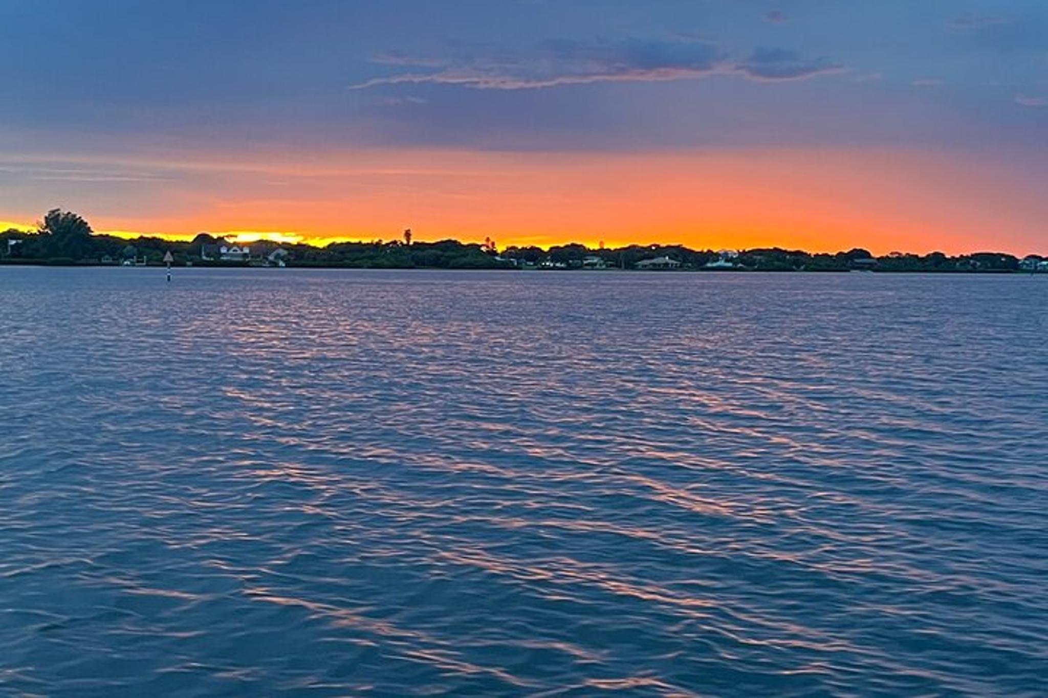 Melbourne Dolphin Tour - Image 2