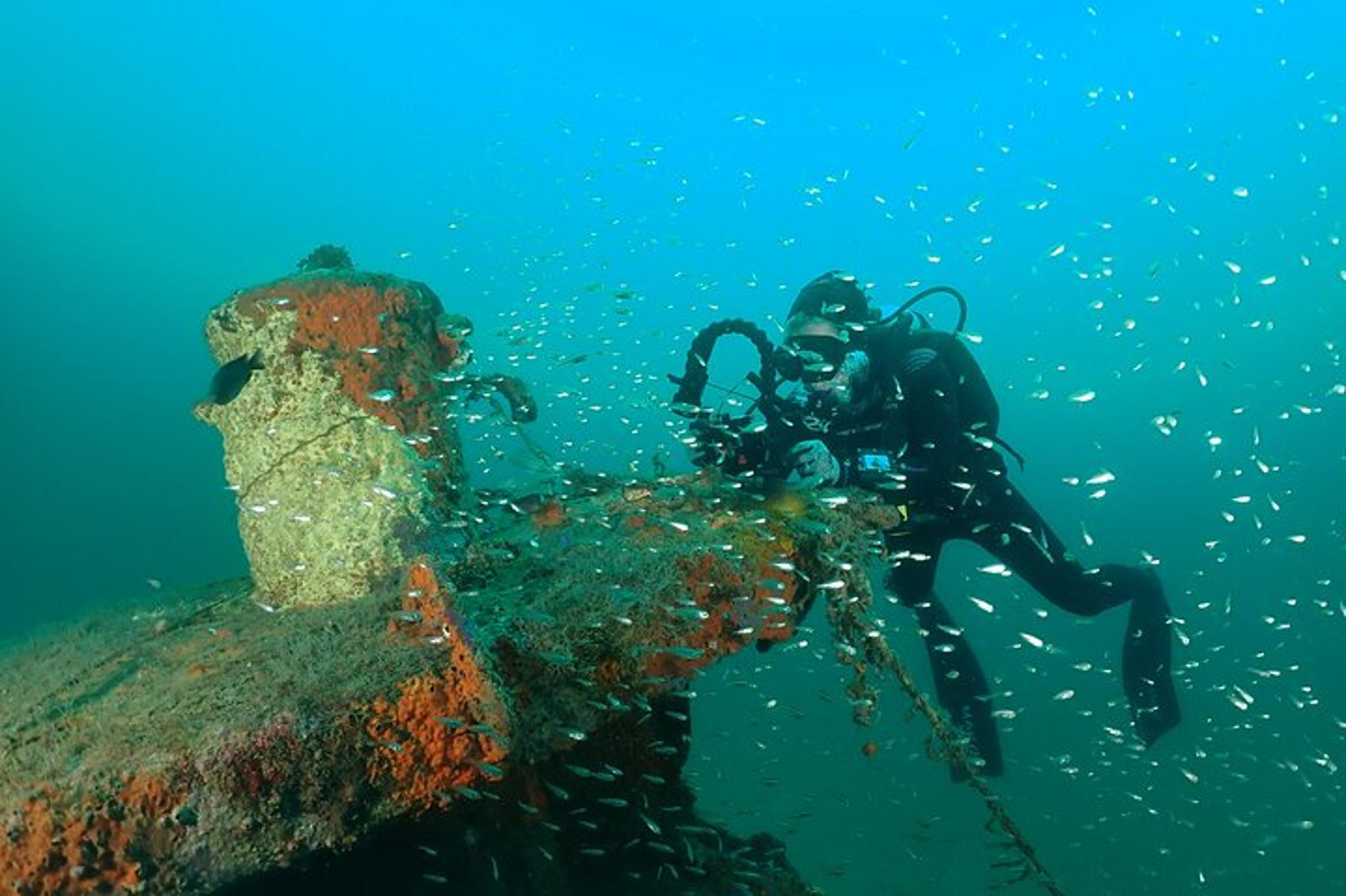 Panama City Wreck and Bridge Span Dive - Image 6