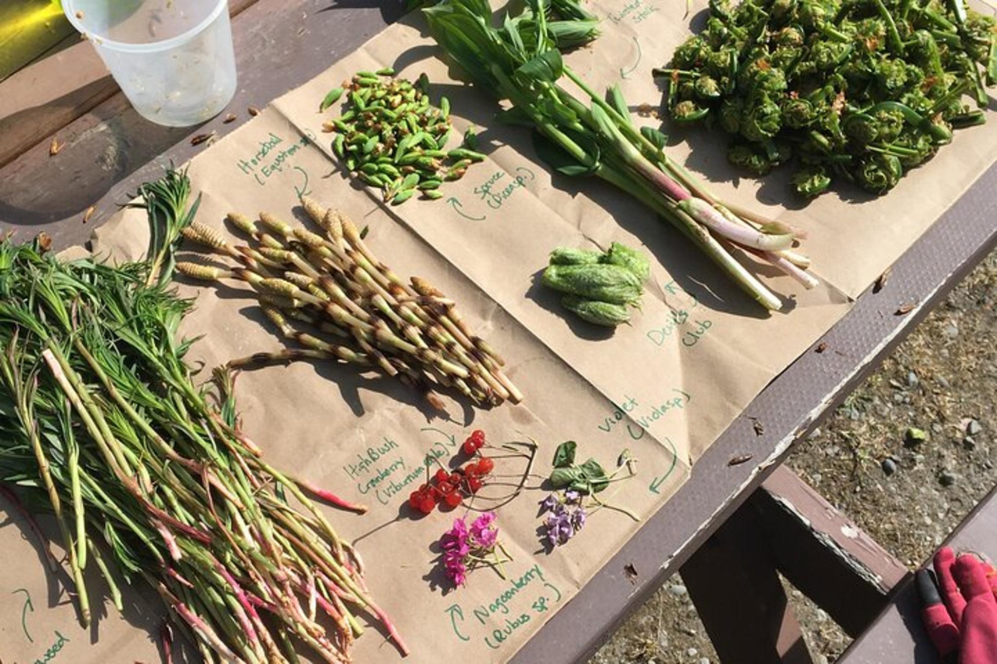 Anchorage Foraging and Cooking Tour