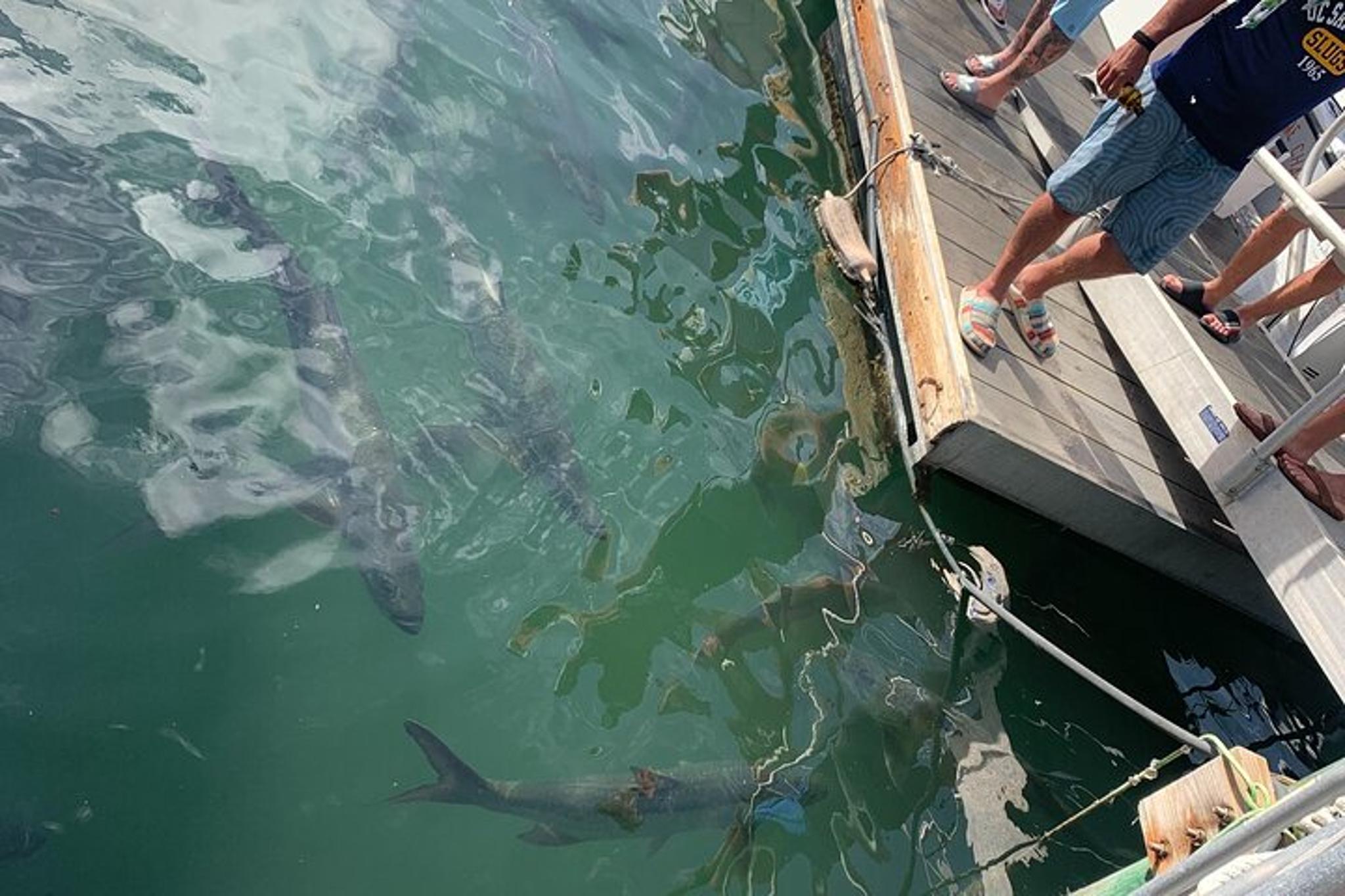 Key West Cocktail Walk to Mallory Square - Image 3