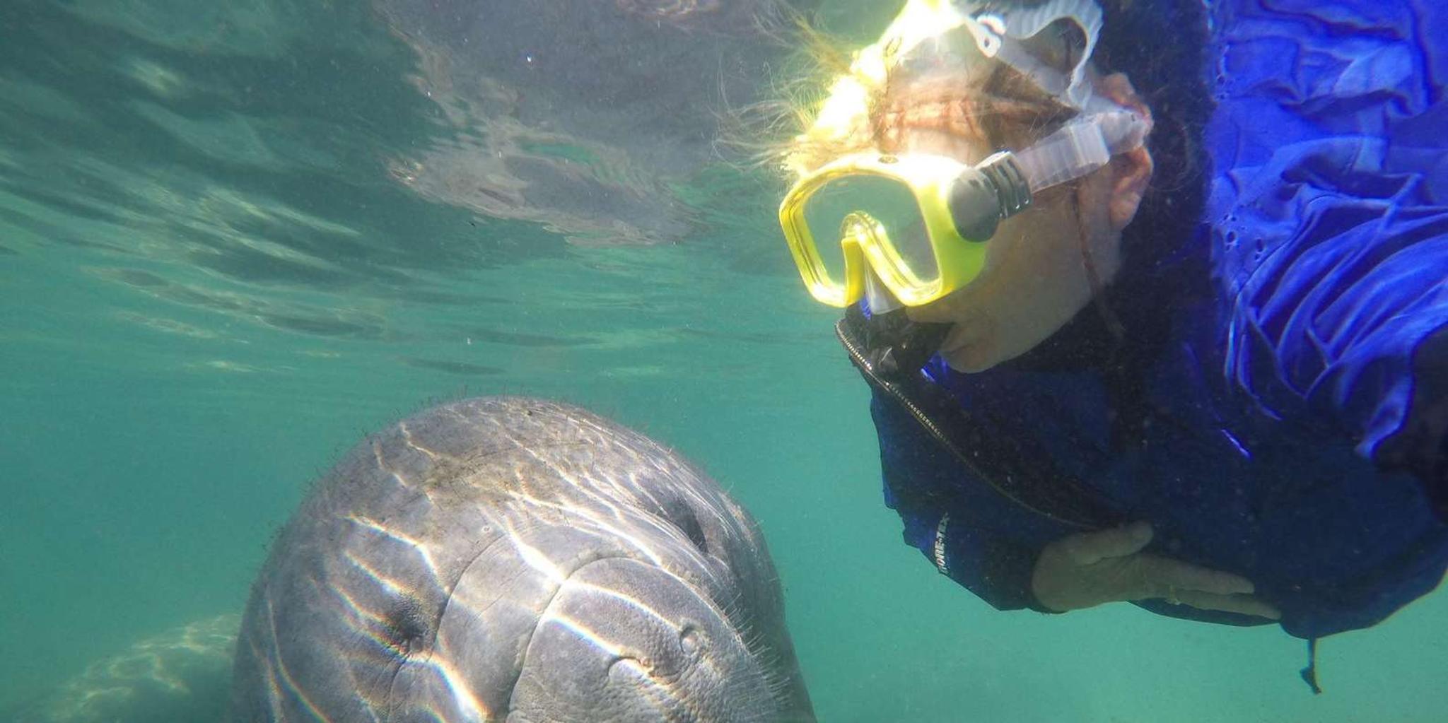 Crystal River Manatee Snorkeling Tour - Image 2