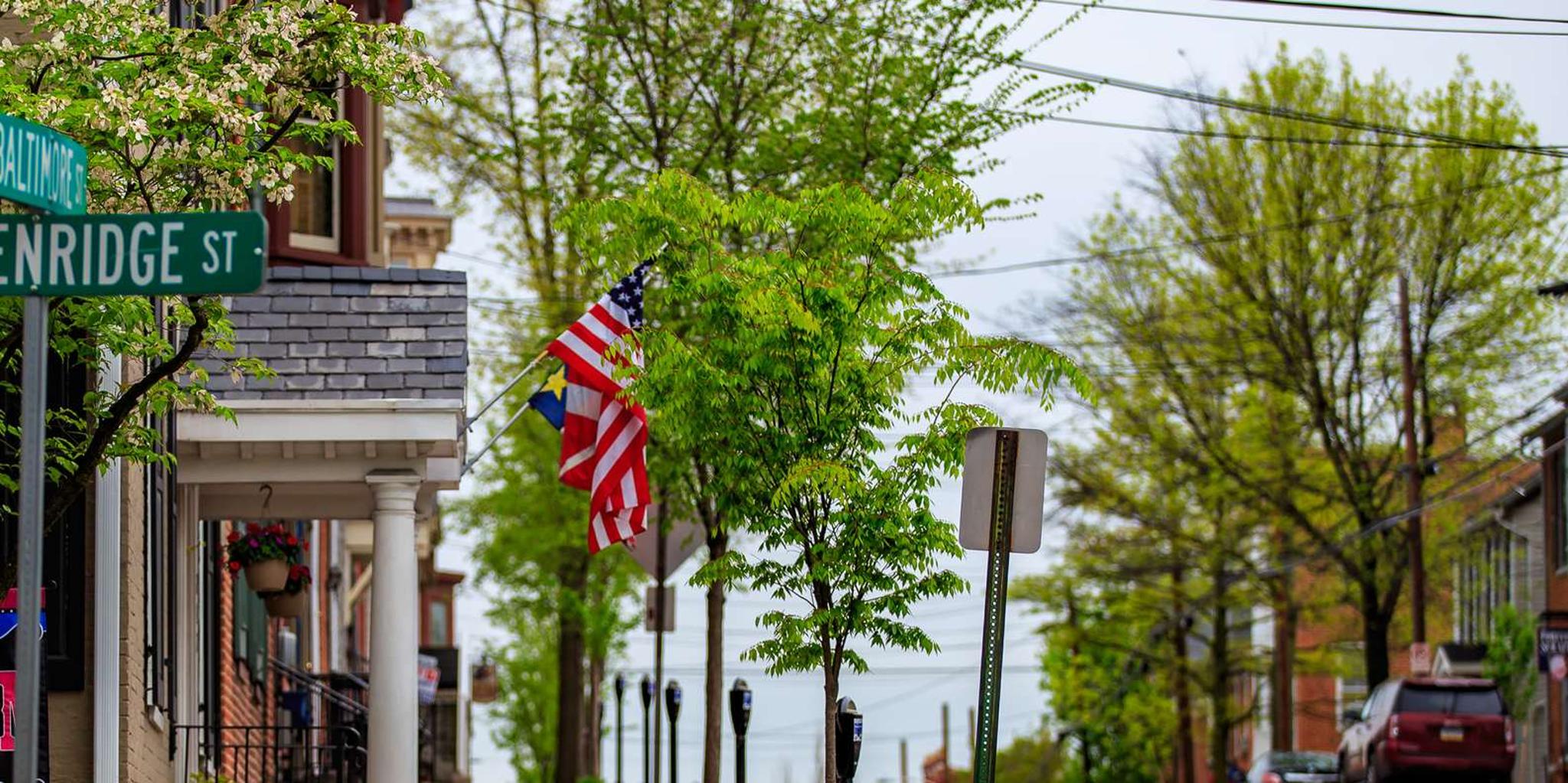 Gettysburg Historic Downtown Walking Tour 2 hr - Image 2