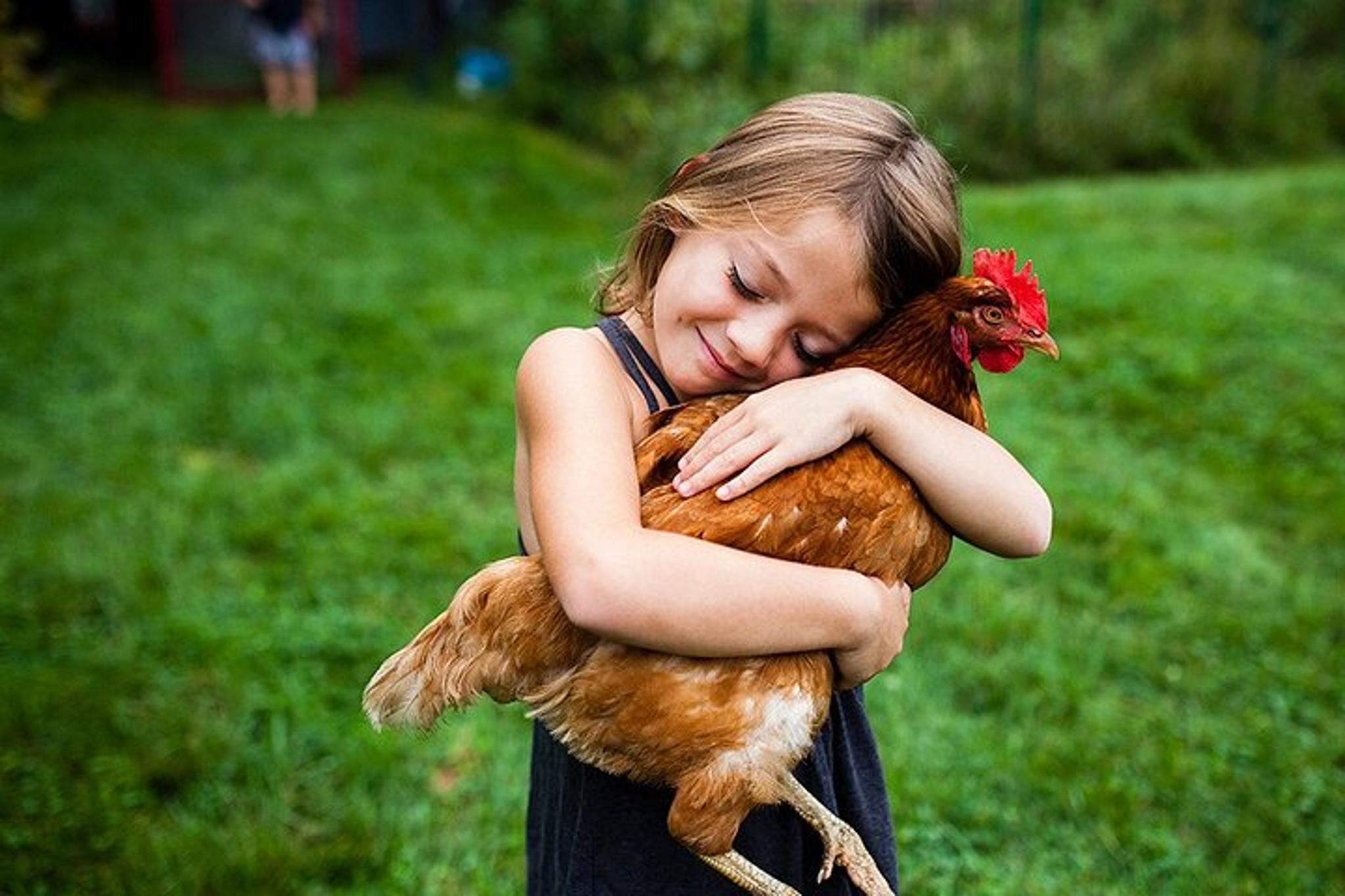 Bainbridge Island Educational Farm Tour - Image 4