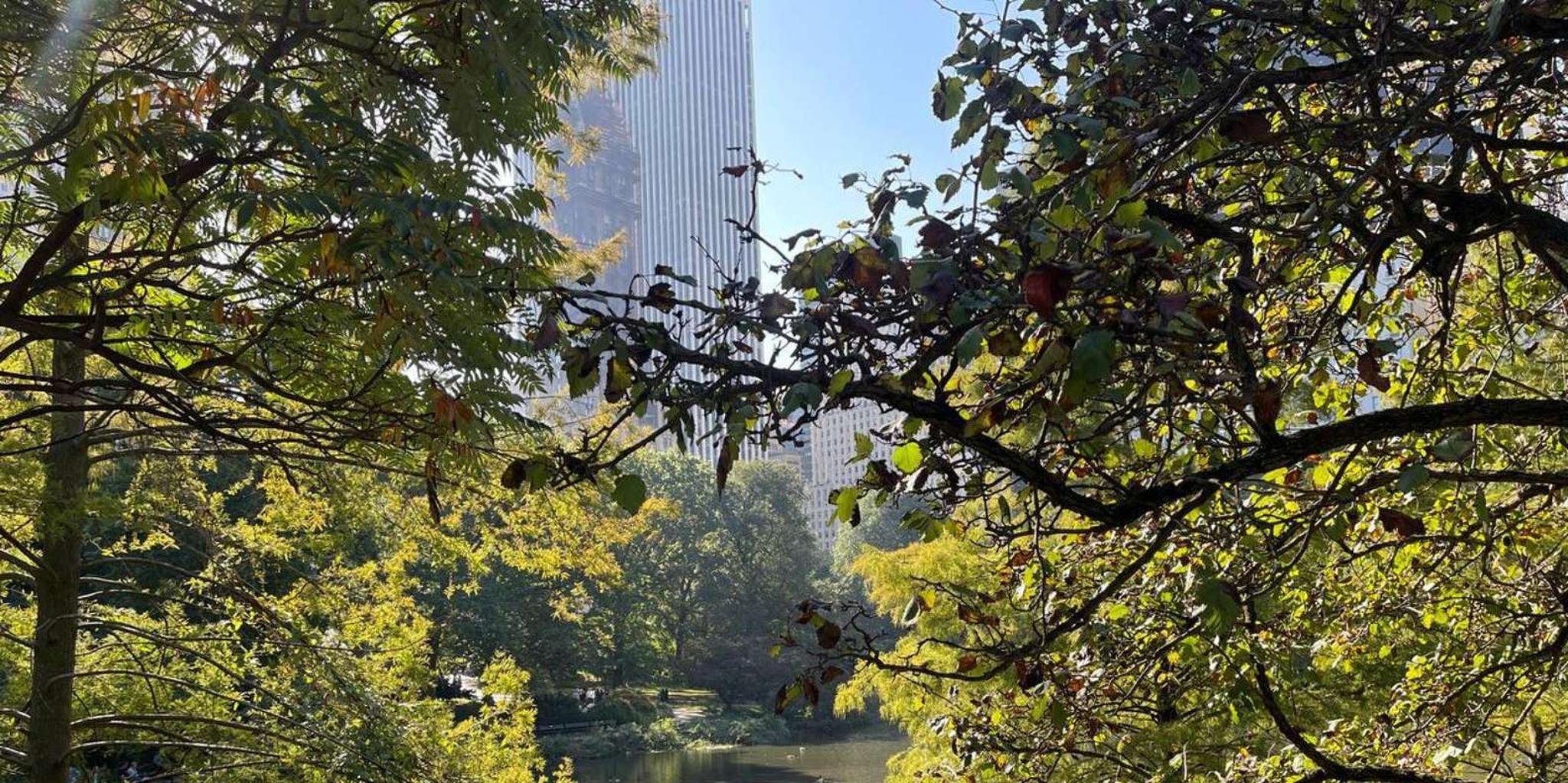New York City Central Park Pedicab Tour - Image 4