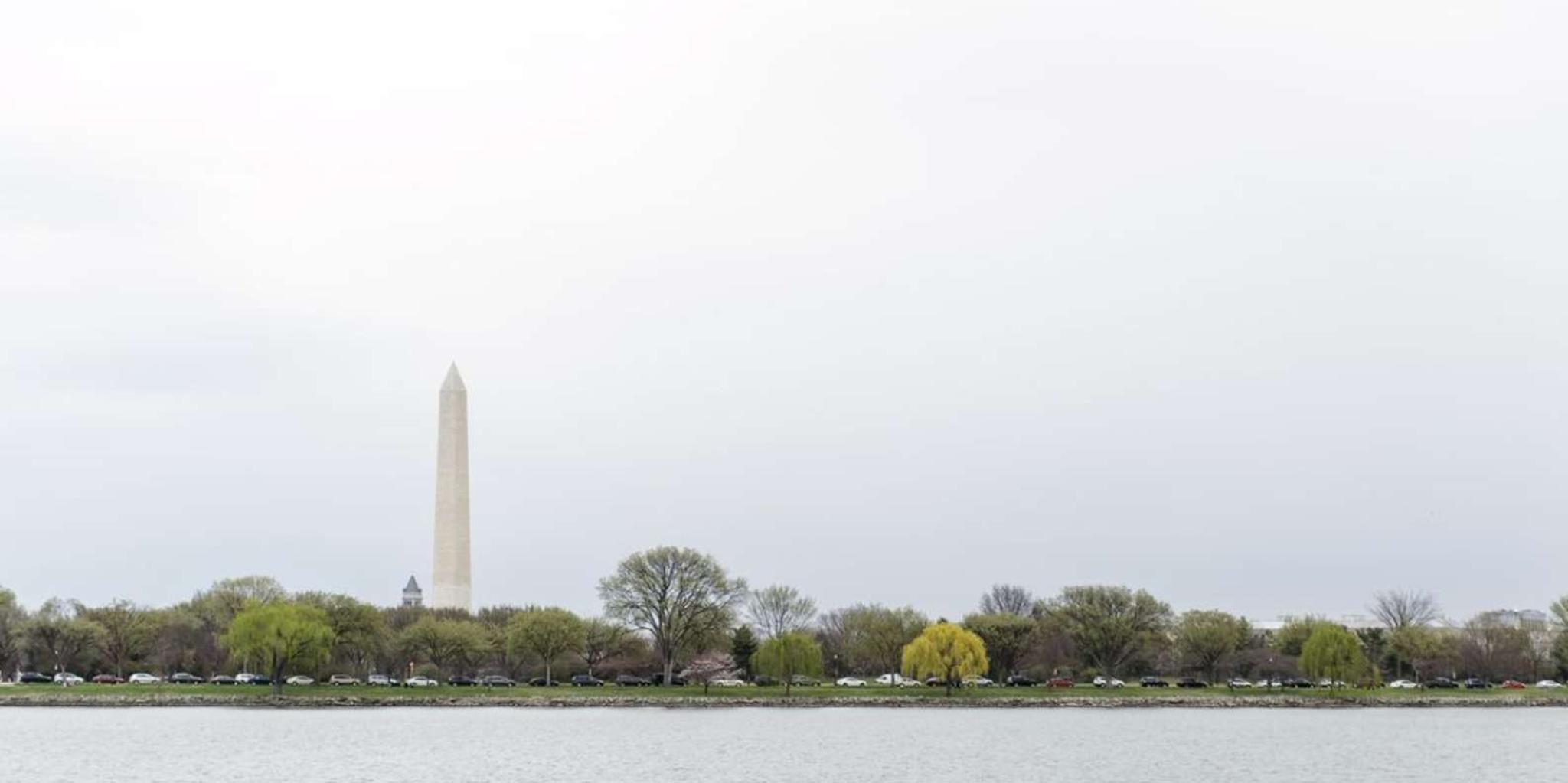 Washington Water Taxi Tour - Image 6