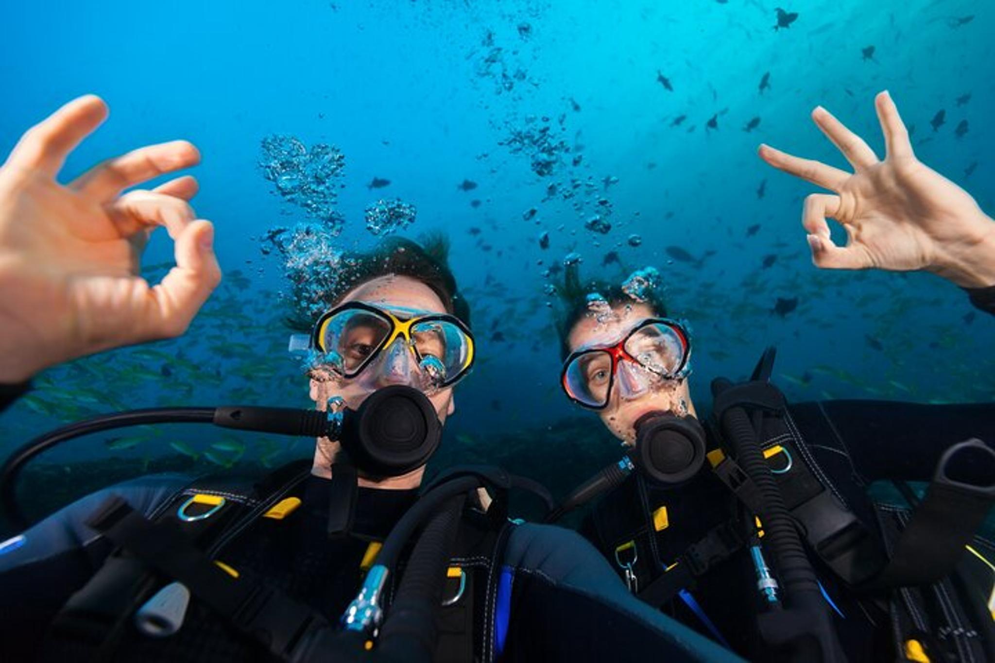 Kauai Scuba Diving Tour From a Boat - Image 5