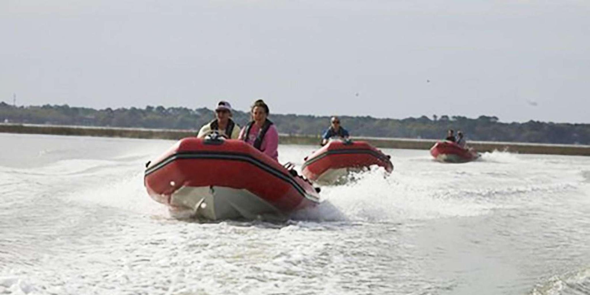 Hilton Head Mini Boat Dolphin Tour - Image 2