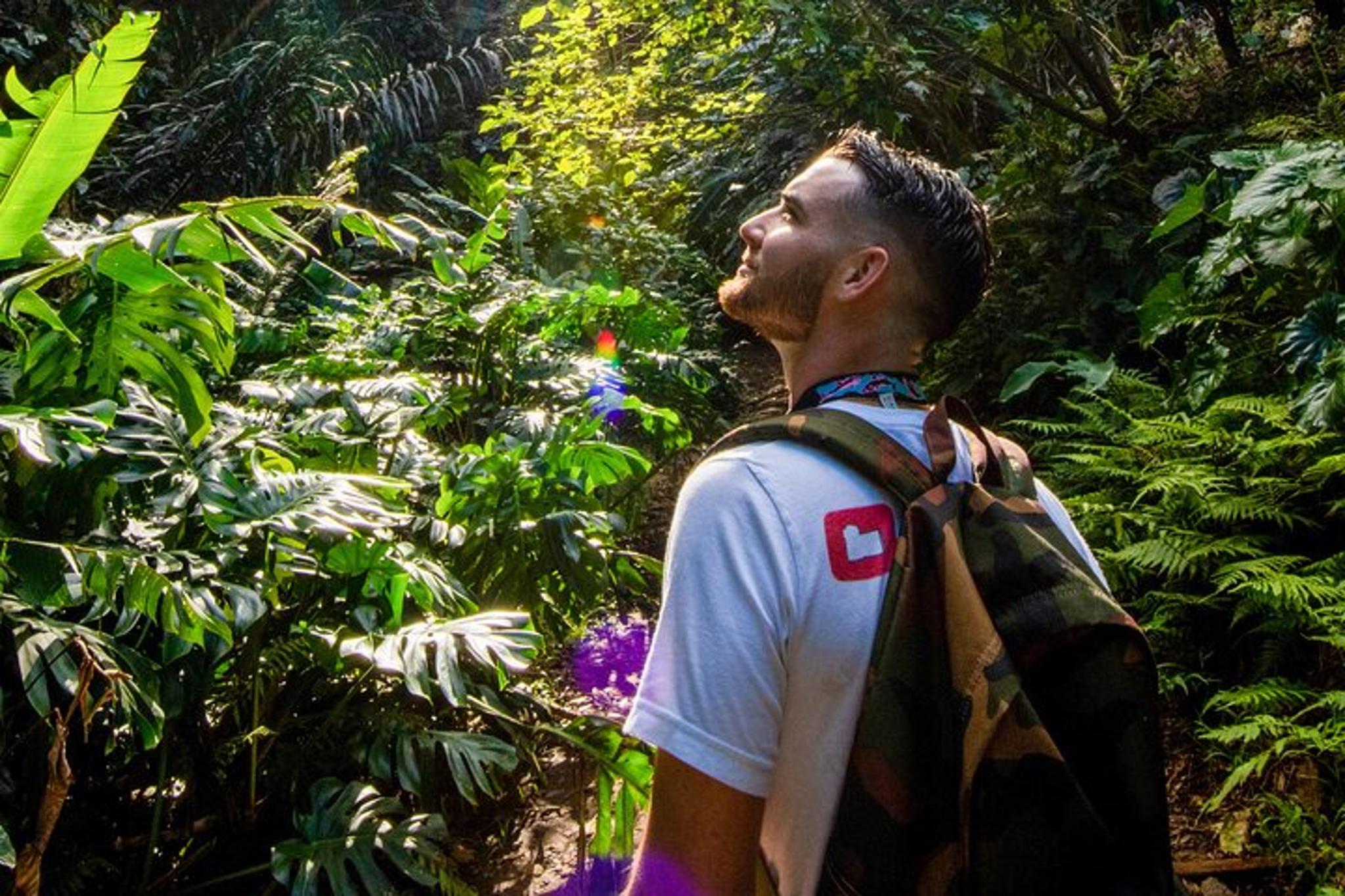 Oahu Waterfall and Food Truck Tour - Image 4