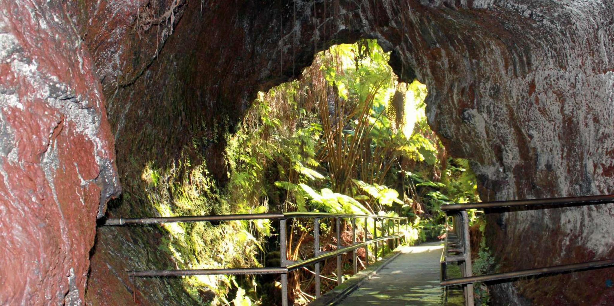 Hilo Volcanoes National Park Tour - Image 4