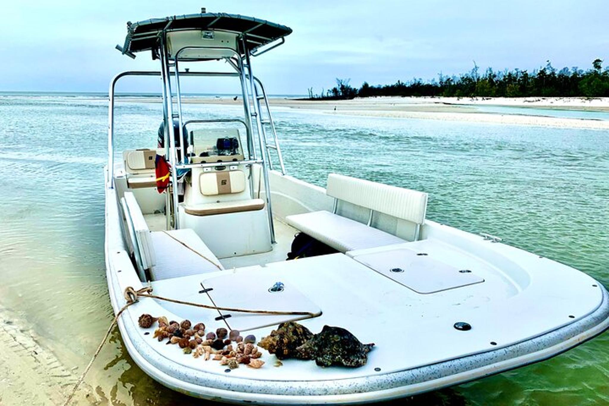 Marco Island Tubing, Dolphin Watching, and Shelling Tour - Image 4