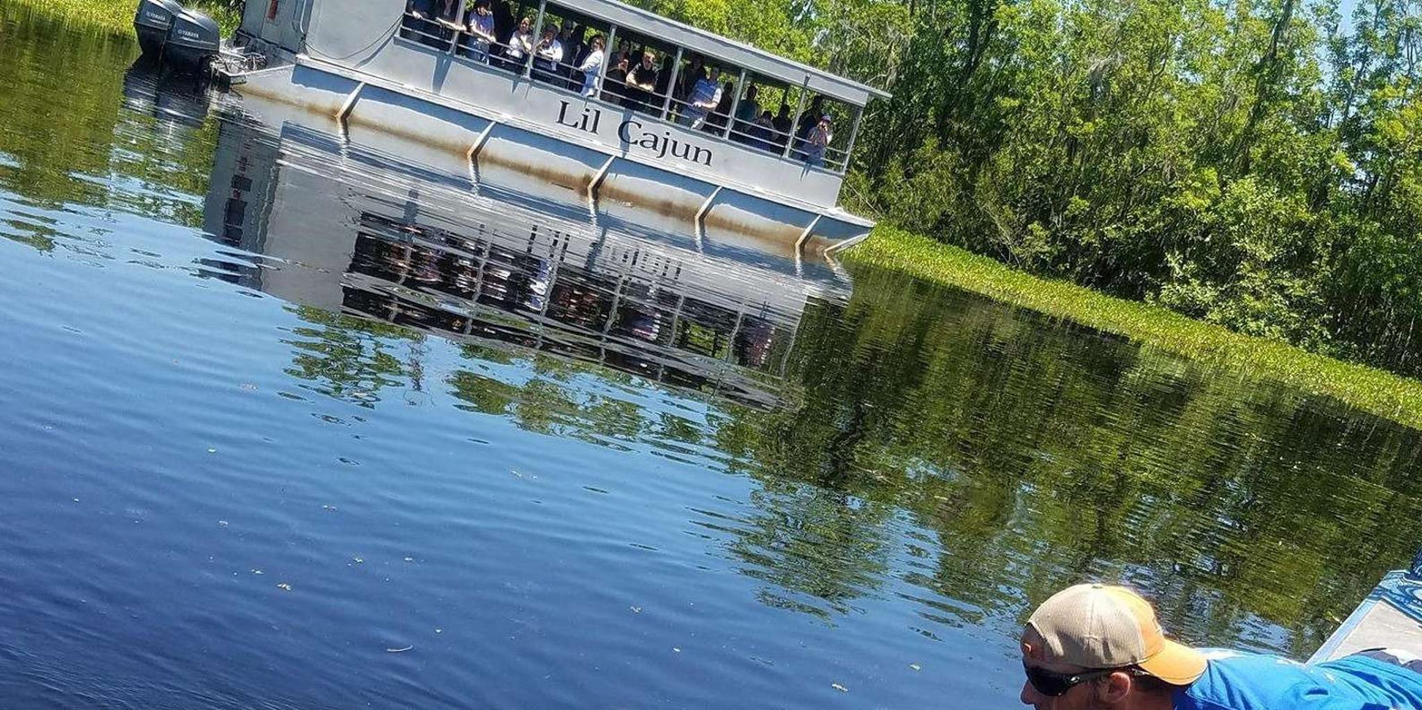 New Orleans Airboat Swamp Tour - Image 6