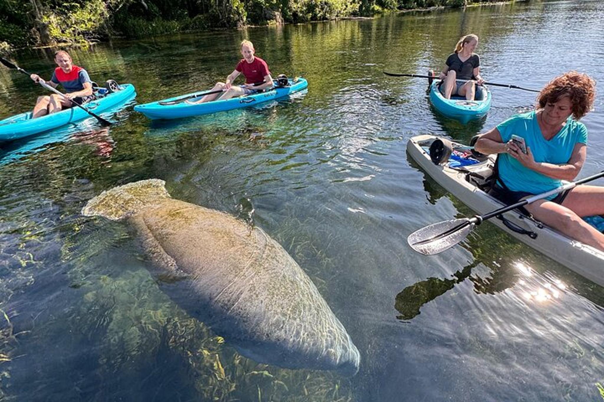 Silver Springs Glass Bottom Kayak Tour - Image 3